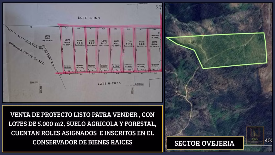 3 TERRENOS DE 15,5 ha., 5,65 Ha. y 10,1  (125708)