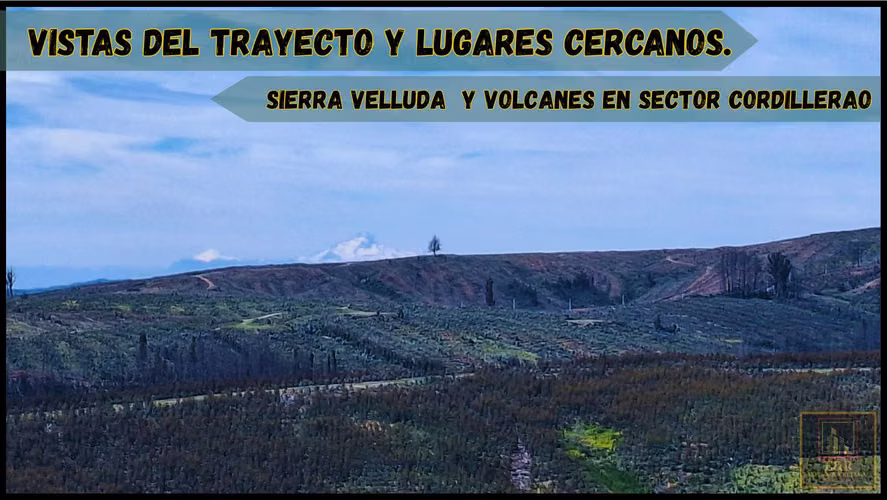 3 TERRENOS DE 15,5 ha., 5,65 Ha. y 10,1  (125708)