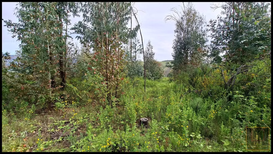 3 TERRENOS DE 15,5 ha., 5,65 Ha. y 10,1  (125708)