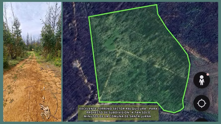 3 TERRENOS DE 15,5 ha., 5,65 Ha. y 10,1  (125708)