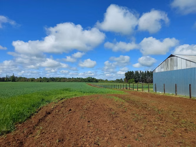 Venta de Parcelas en Perquenco 1 Ha