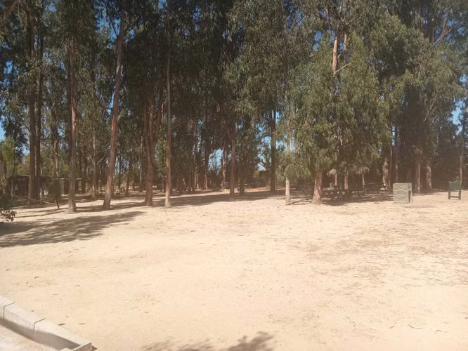 Linda Casa en parcela La Foresta de Zapallar (125795)