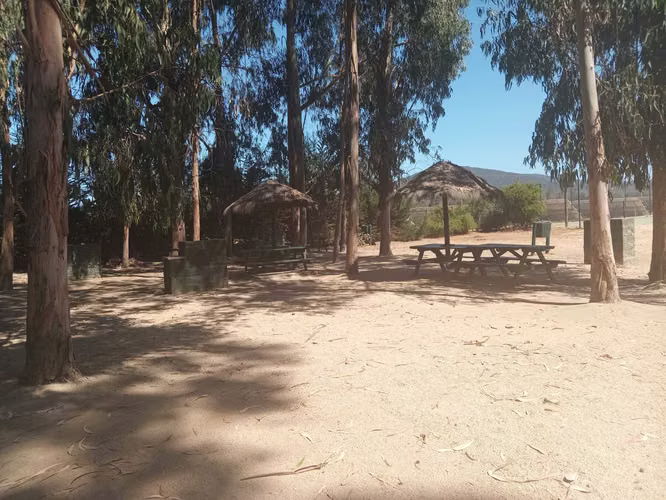Linda Casa en parcela La Foresta de Zapallar (125795)