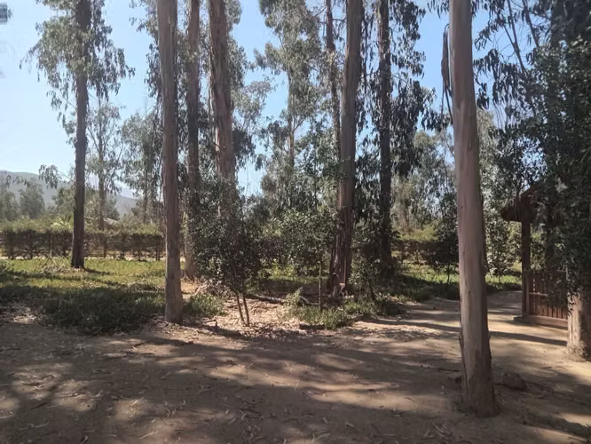 Linda Casa en parcela La Foresta de Zapallar (125795)