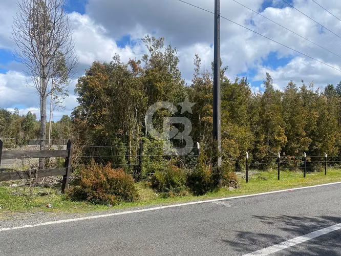 PARCELA SECTOR RIO SUR - Imagen 4