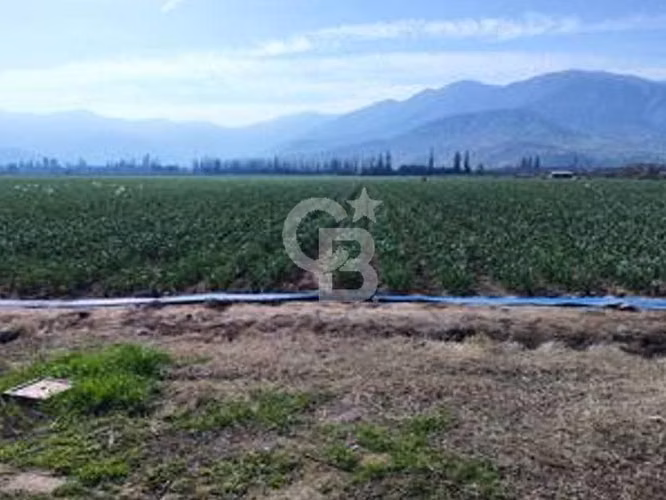 Campo Premium: Suelo Fértil, Agua, Galpones, Tranque