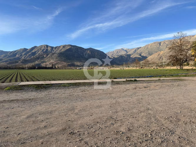 Campo Premium: Suelo Fértil, Agua, Galpones, Tranque