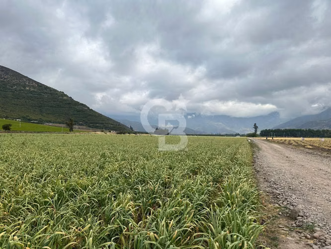 Campo Premium: Suelo Fértil, Agua, Galpones, Tranque