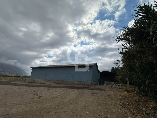 Campo Premium: Suelo Fértil, Agua, Galpones, Tranque