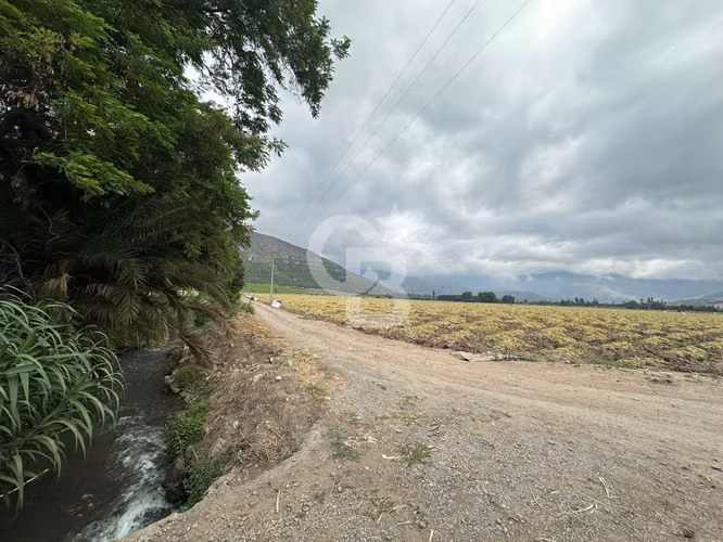 Campo Premium: Suelo Fértil, Agua, Galpones, Tranque