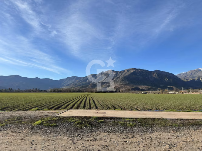 Campo Premium: Suelo Fértil, Agua, Galpones, Tranque