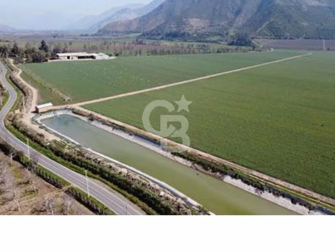 Campo Premium: Suelo Fértil, Agua, Galpones, Tranque