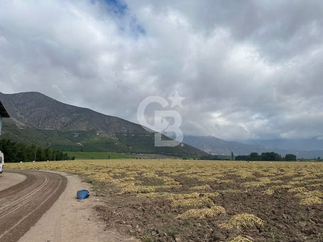 Campo Premium: Suelo Fértil, Agua, Galpones, Tranque