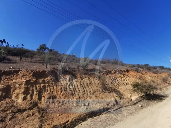 Venta sitio tabolango