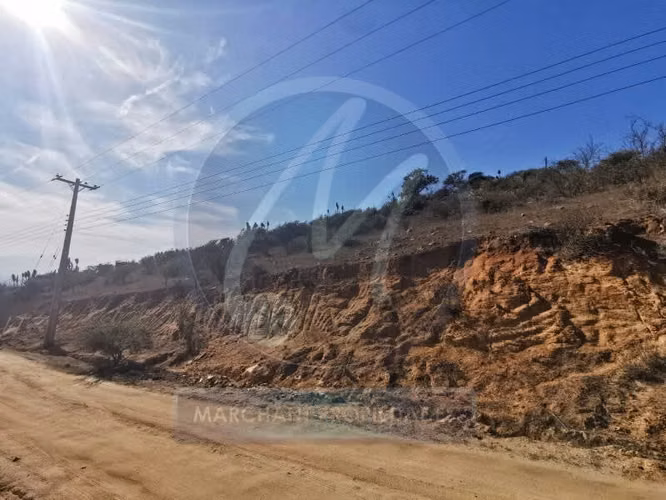 Venta sitio tabolango