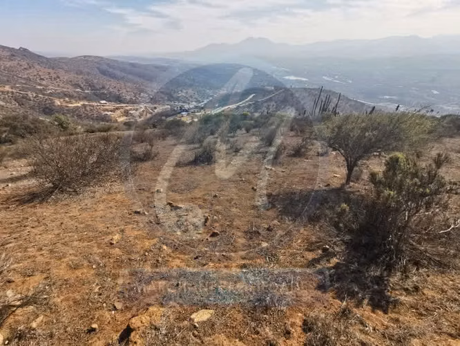 Venta sitio tabolango