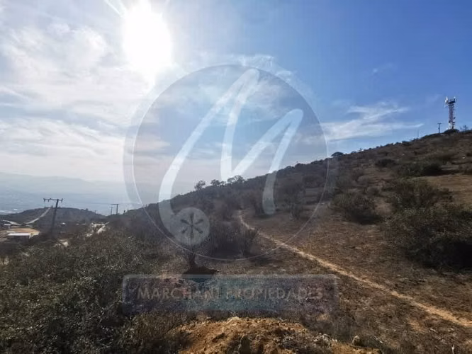 Venta sitio tabolango
