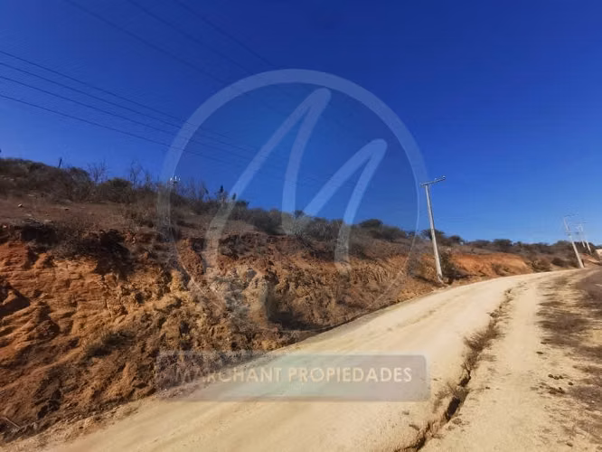Venta sitio tabolango