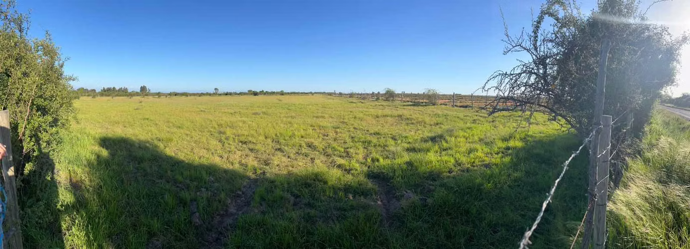 Se Vende Parcela de 5.000 mt2 cerca de Parral (126604)