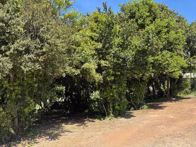 2 casas en parcela Mantagua (126584)