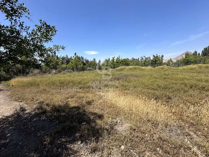 Sitio en Condominio Los Nogales Chicureo