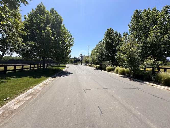 Sitio en Condominio Los Nogales Chicureo
