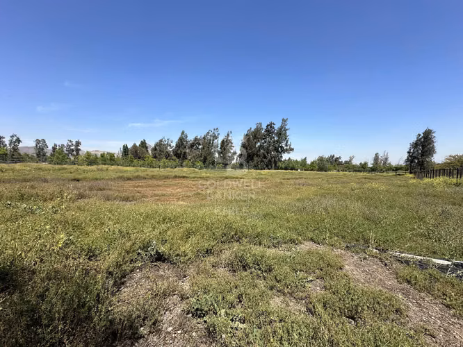 Sitio en Condominio Los Nogales Chicureo