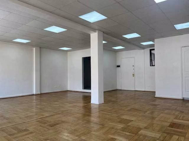 Planta Libre, Parquet, metro U. de Chile (126937)