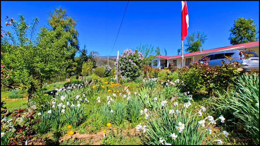 PARCELA CON 2 CASAS  Y 8000M2 DE TERRENO (126968)