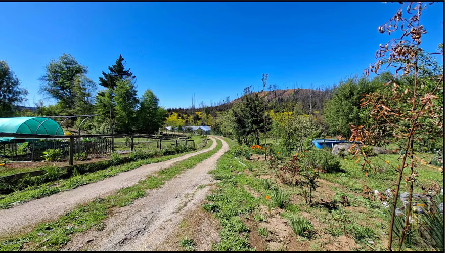 PARCELA CON 2 CASAS  Y 8000M2 DE TERRENO (126968)