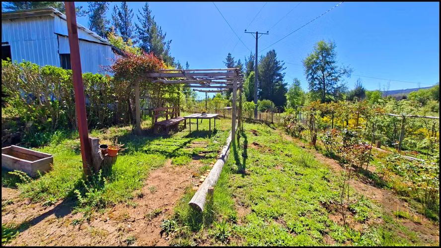PARCELA CON 2 CASAS  Y 8000M2 DE TERRENO (126968)