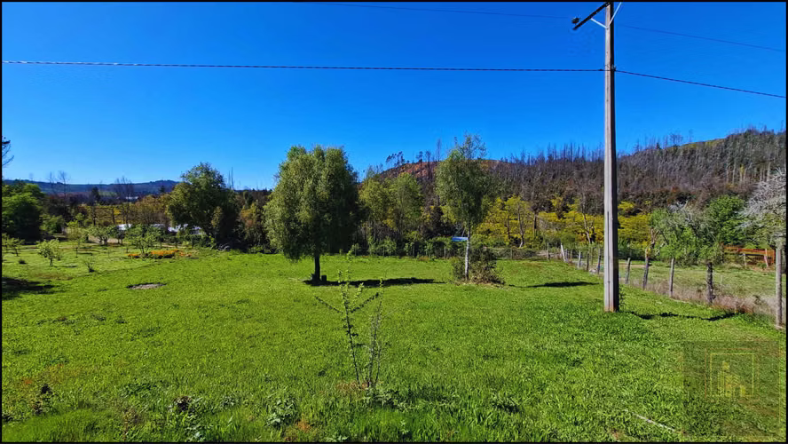 PARCELA CON 2 CASAS  Y 8000M2 DE TERRENO (126968)