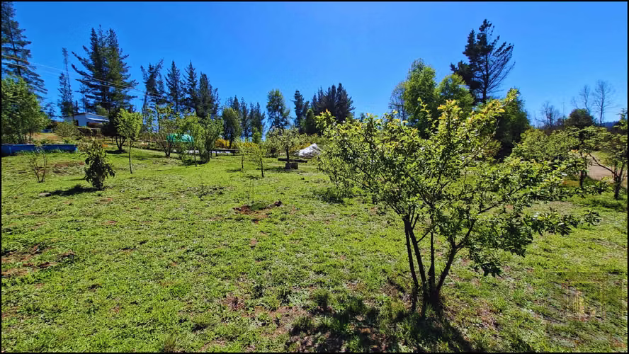 PARCELA CON 2 CASAS  Y 8000M2 DE TERRENO (126968)