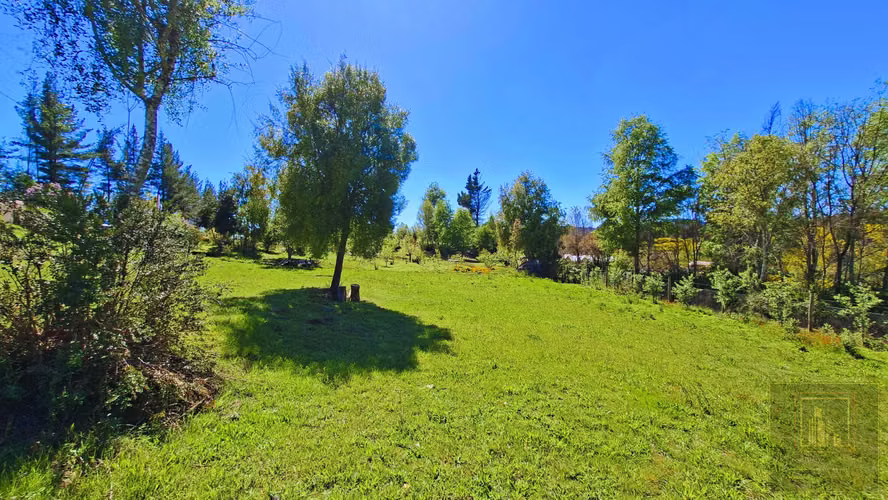 PARCELA CON 2 CASAS  Y 8000M2 DE TERRENO (126968)