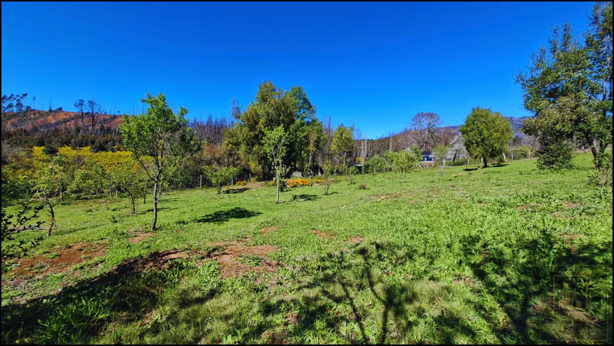 PARCELA CON 2 CASAS  Y 8000M2 DE TERRENO (126968)