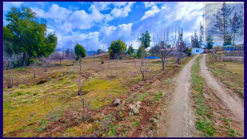 PARCELA CON 2 CASAS  Y 8000M2 DE TERRENO (126968)