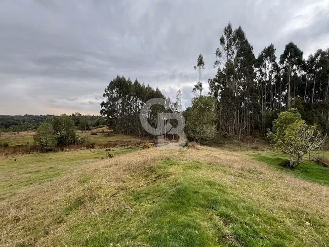 Hermosa hectárea en el corazón de Chiloé