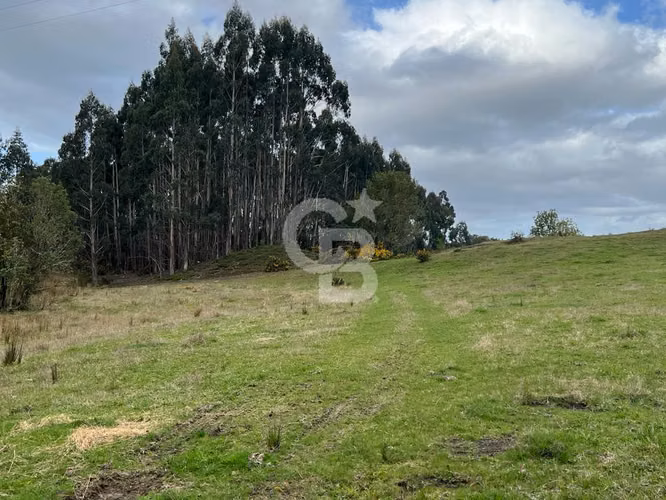 Hermosa hectárea en el corazón de Chiloé