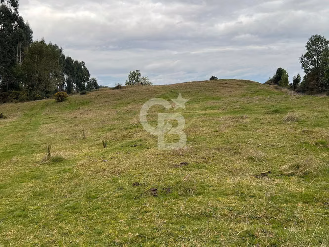 Hermosa hectárea en el corazón de Chiloé