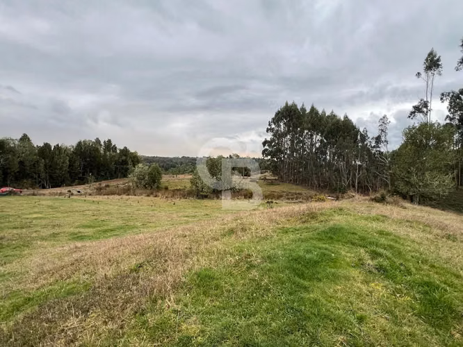 Hermosa hectárea en el corazón de Chiloé