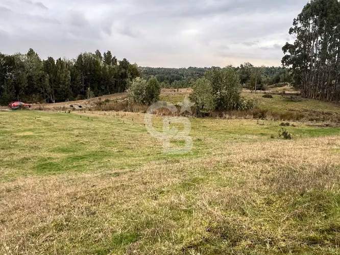 Hermosa hectárea en el corazón de Chiloé