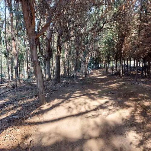 Bonito depto en Horcón, Puchuncaví (3520) - Imagen 23