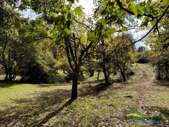 Lote 11 parcela de 7.760 m2 Puerto Montt