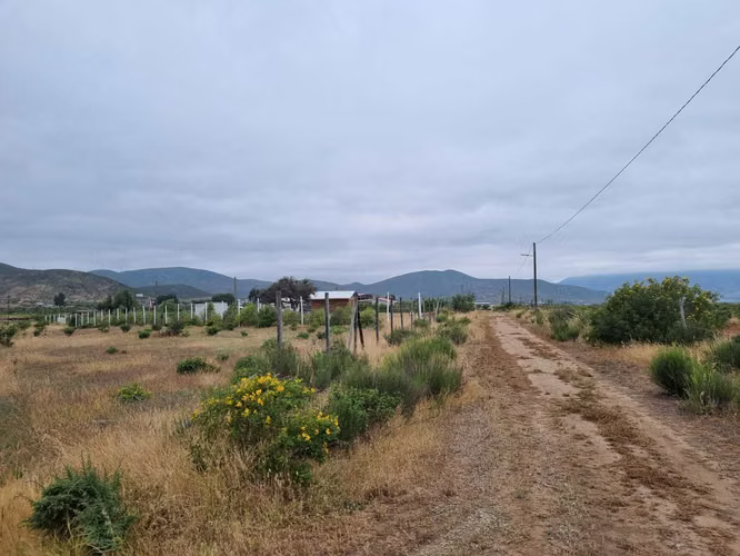Venta terreno Las barrancas, Coquimbo (127689)