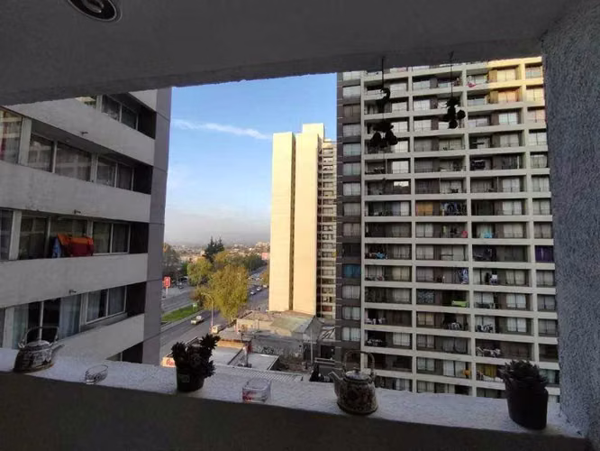 ALAMEDA  (127732)