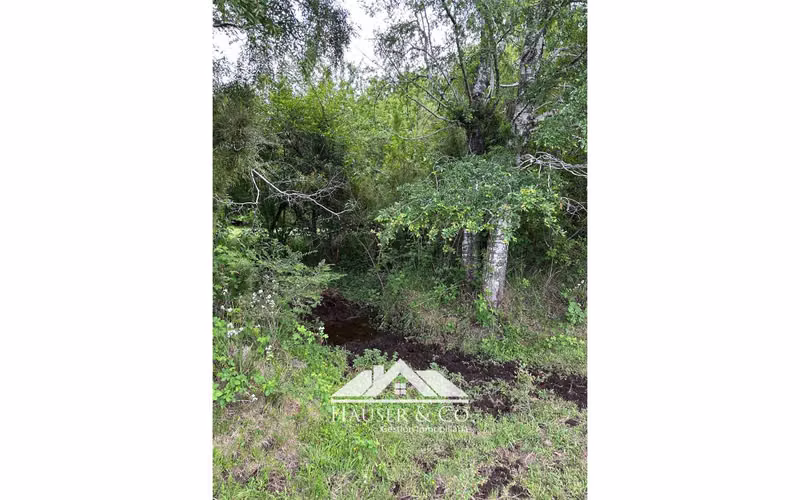 Oportunidad Excelente Parcela fuera de condominio en Villarrica