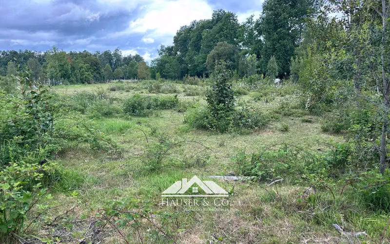 Oportunidad Excelente Parcela fuera de condominio en Villarrica