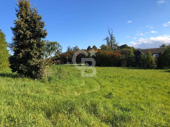 Parcela con vista al lago en Altos del Llanquihue