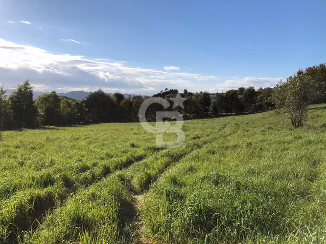 Parcela con vista al lago en Altos del Llanquihue