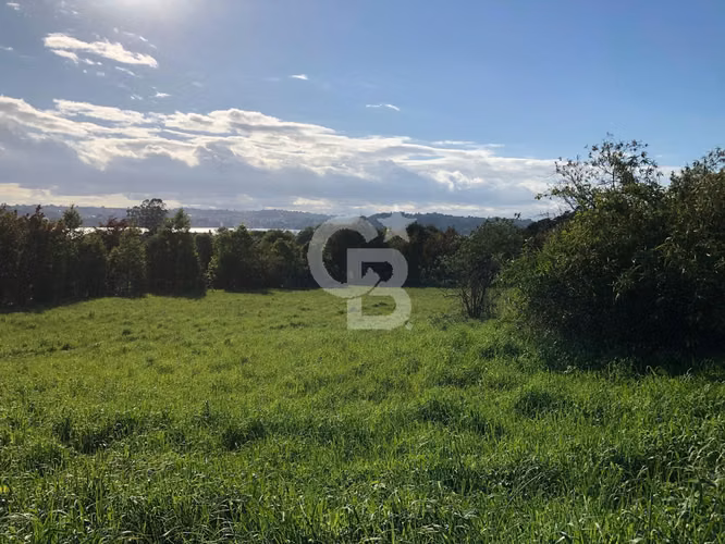 Parcela con vista al lago en Altos del Llanquihue